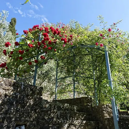 Smile By Rent Istria Apartman